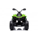 Elektrická Štvorkolka - CAN-AM Renegate - zelená